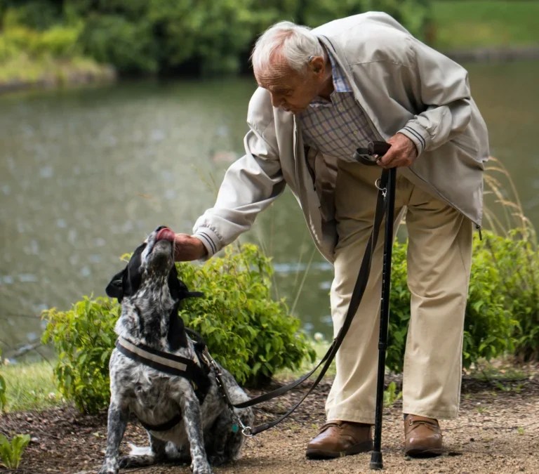 Tranquillité et salubrité